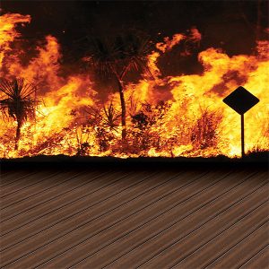 Modwood Flame Shield Decking